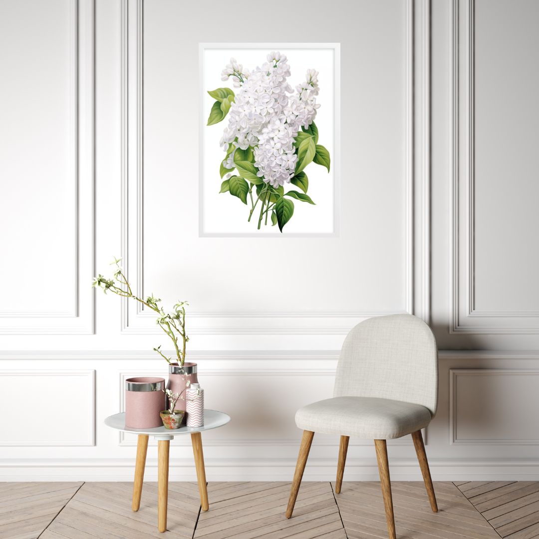 Laimīgais ceriņš- balts