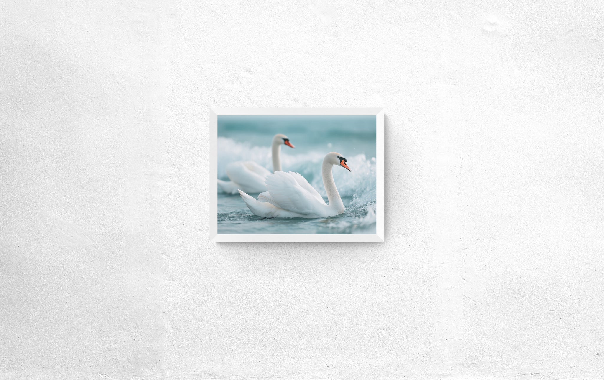 Afrodītes kolekcija: Gulbji II