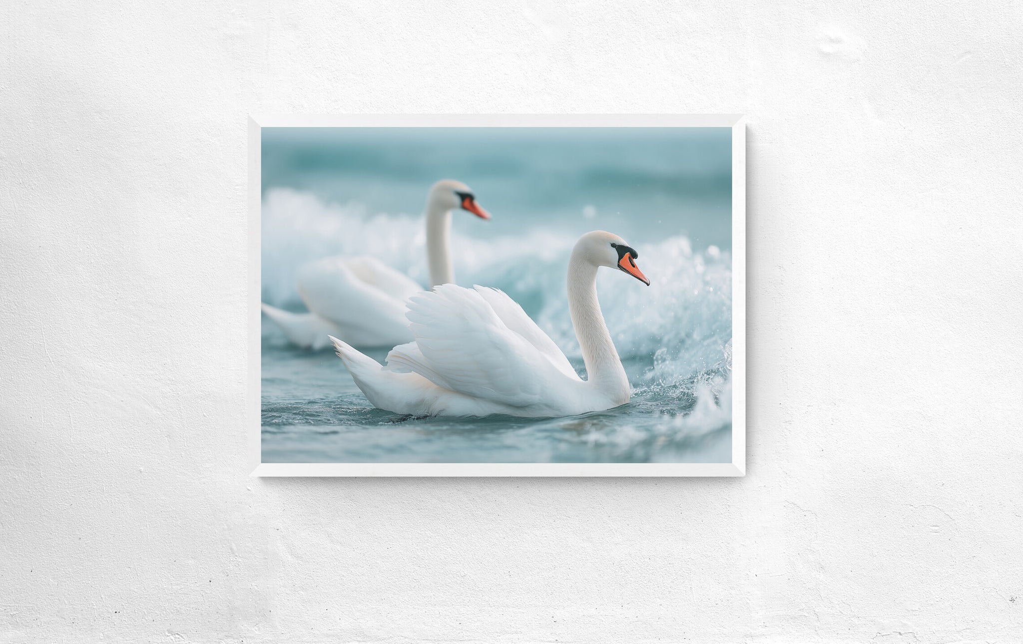 Afrodītes kolekcija: Gulbji II