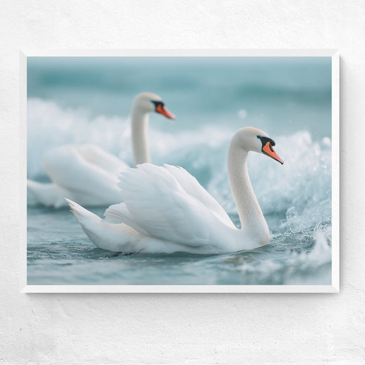 Two swans swimming in water with a blue background