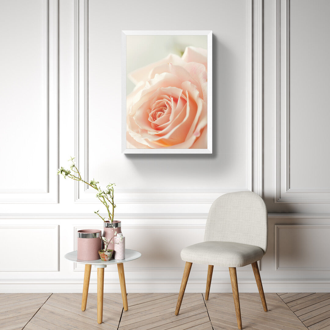 Roze- rozā I
