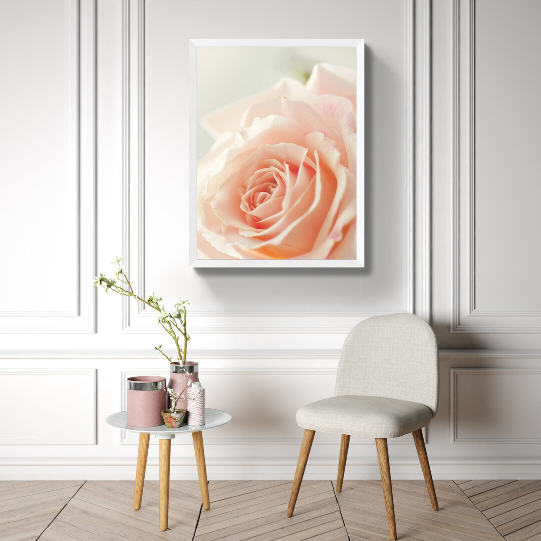 Roze- rozā I